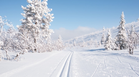 Wintersport Storhogna